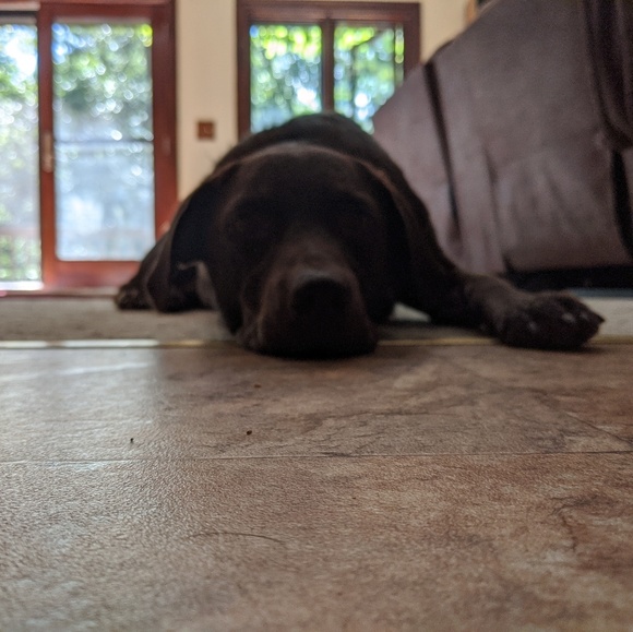 Meet your Posher, David - Picture 1 of 1